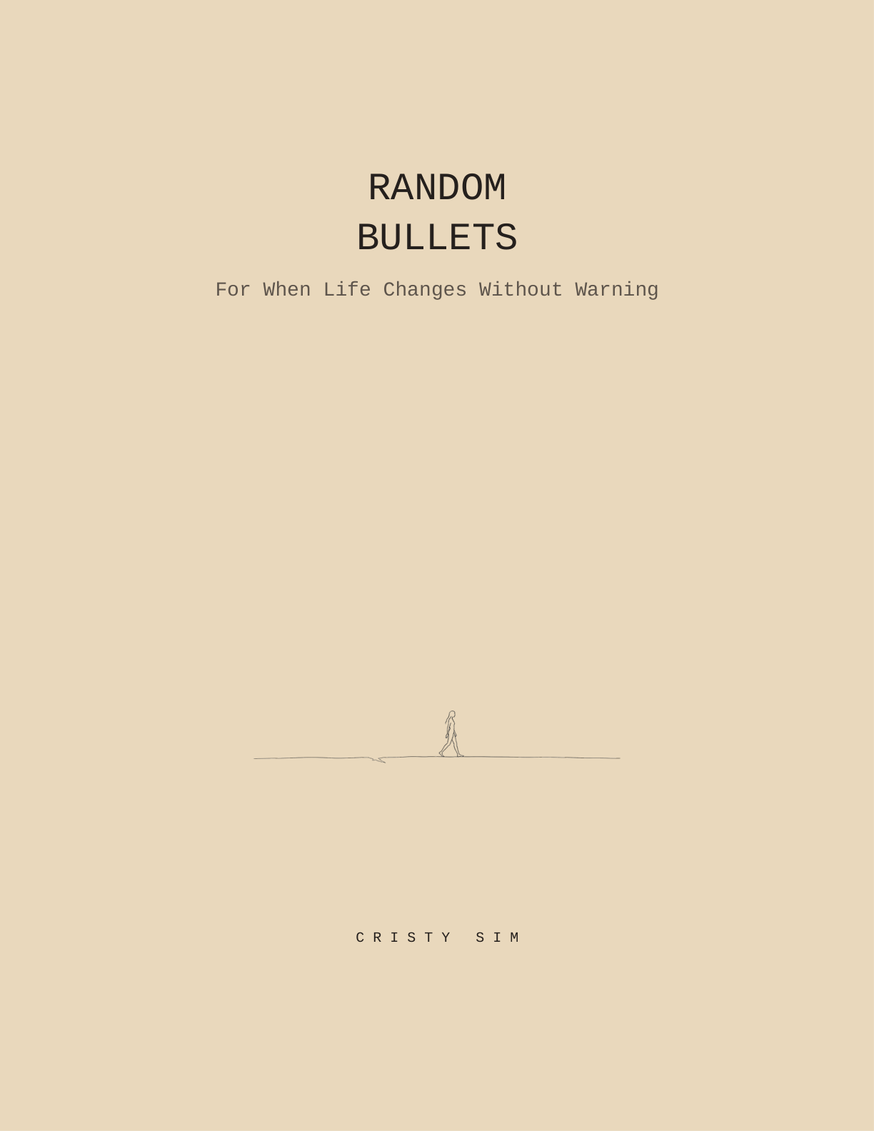 Random Bullets book cover by Cristy Sim